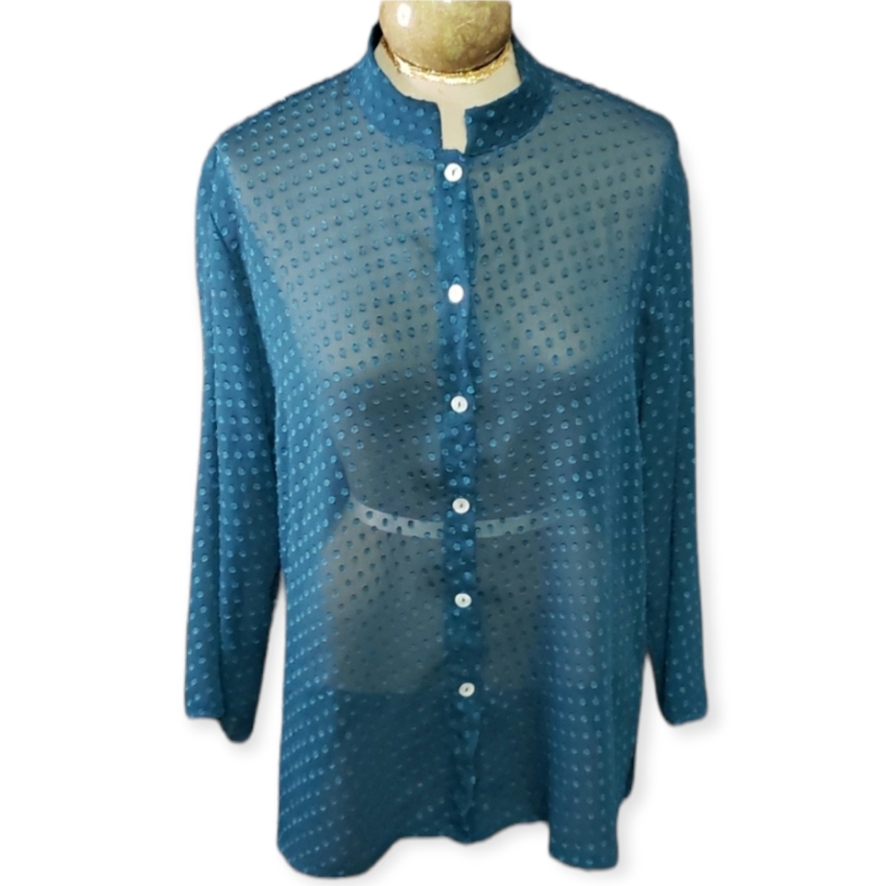 Wear It Sheer Blouse Size OX